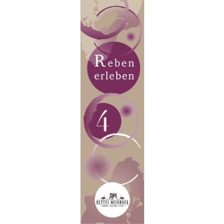 Reben erleben - 4 x Stahlrebe 6.0