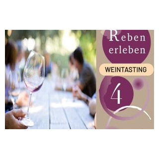 Reben erleben - 4 x Rose 2.0
