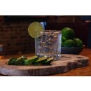 Betreutes Trinken - Lust auf Gin 9.0 ?